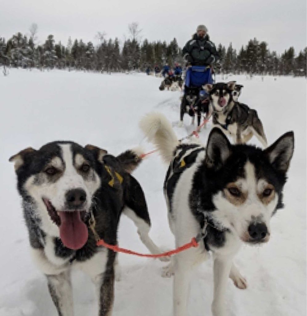 Mark Wells, VICE PRESIDENT, ANALYTICS - with dogs